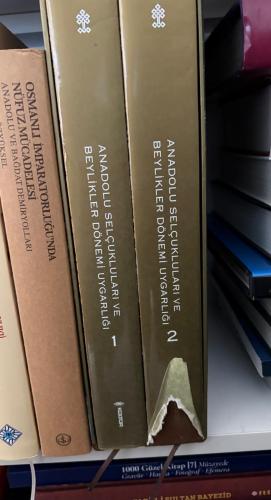 Anadolu Selçukluları ve Beylikler Dönemi Uygarlığı 1 - 2 cilt Kutulu